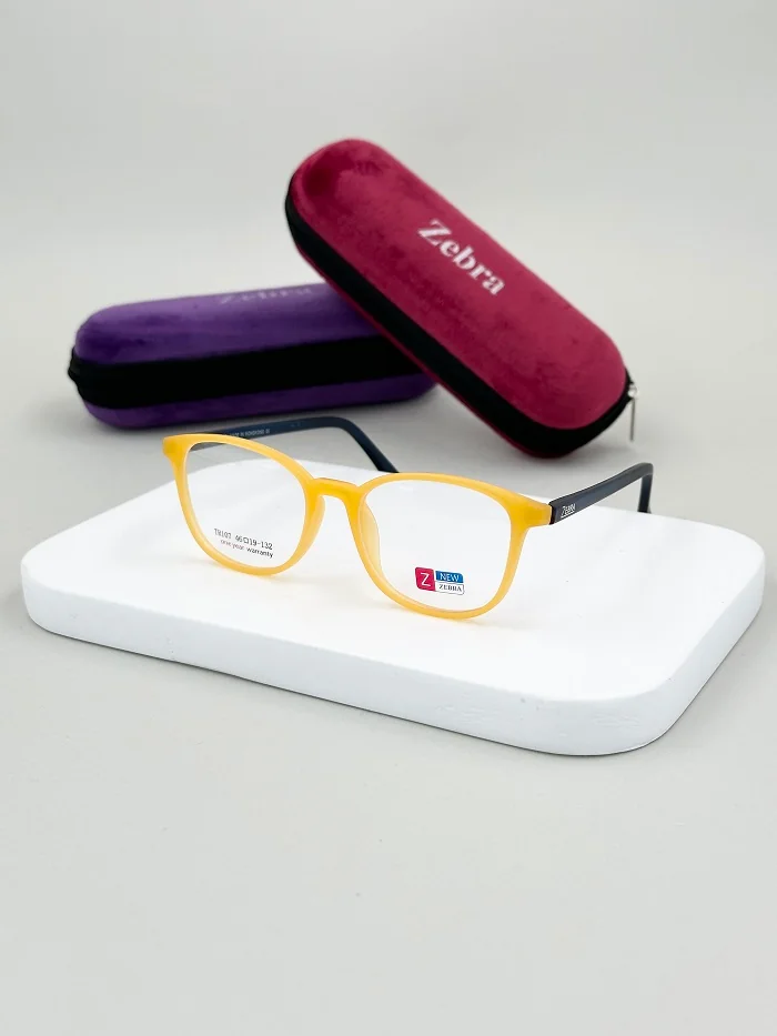 2024_05_05_20_19_IMG_6845 عینک طبی بچگانه زبرا کد TR 107