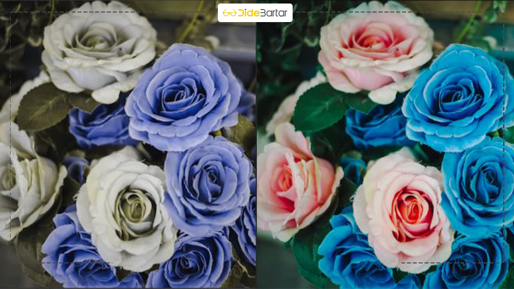 تست کوررنگی و اهمیت استفاده از عینک مناسب