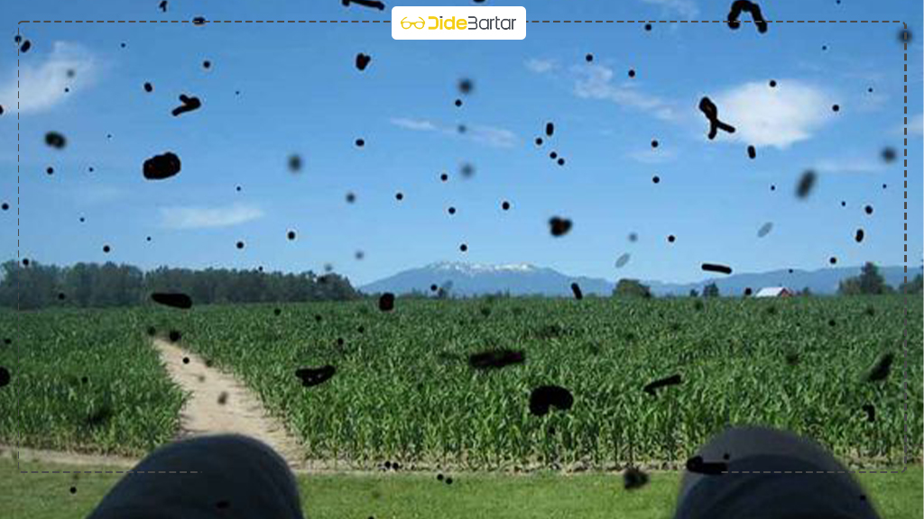 چگونه با بالا رفتن سن مراقب بینایی باشیم؟